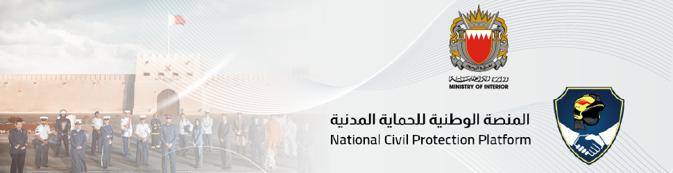 Household Income and Expenditure Survey